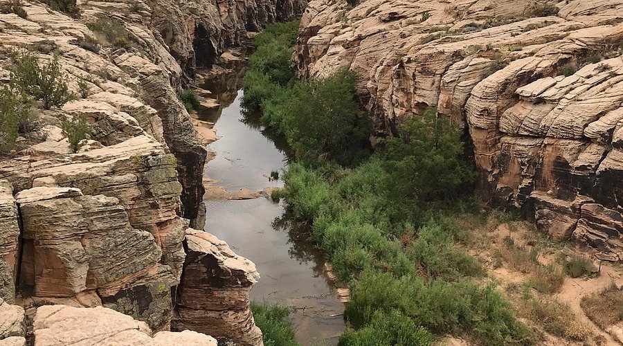 This image is used for link button